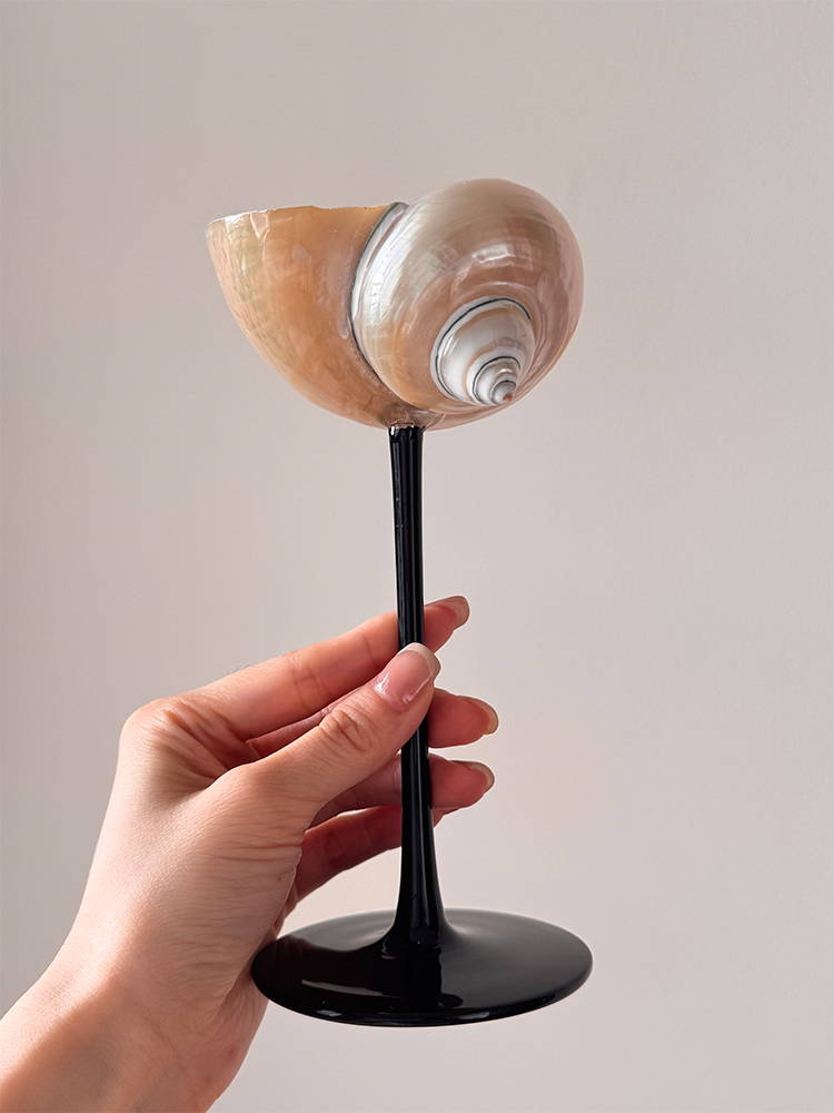 Home Bar Set - Natural Conch Shell Champagne Glass with